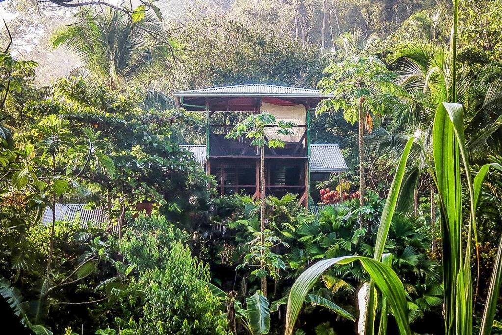 Casa Aire Libre Villa Puerto Jiménez Exterior foto