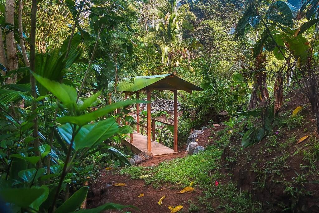 Casa Aire Libre Villa Puerto Jiménez Exterior foto