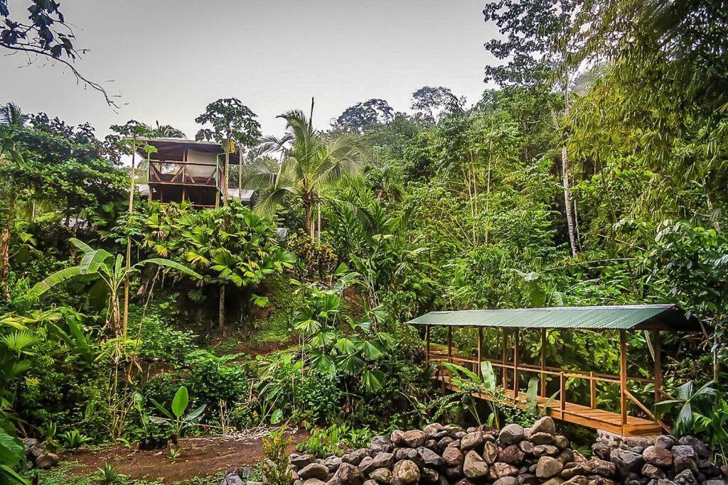 Casa Aire Libre Villa Puerto Jiménez Exterior foto